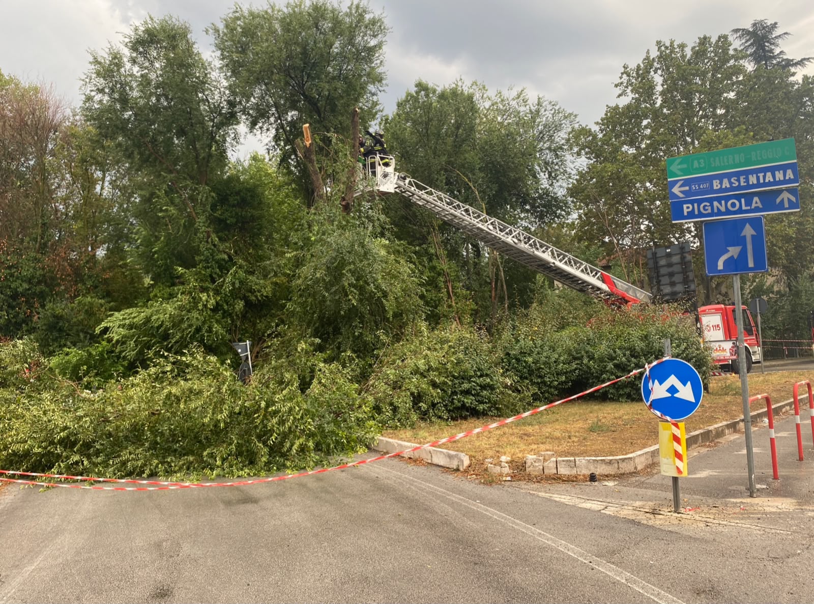 Potenza: strade allagate e alberi caduti per un violento nubifragio